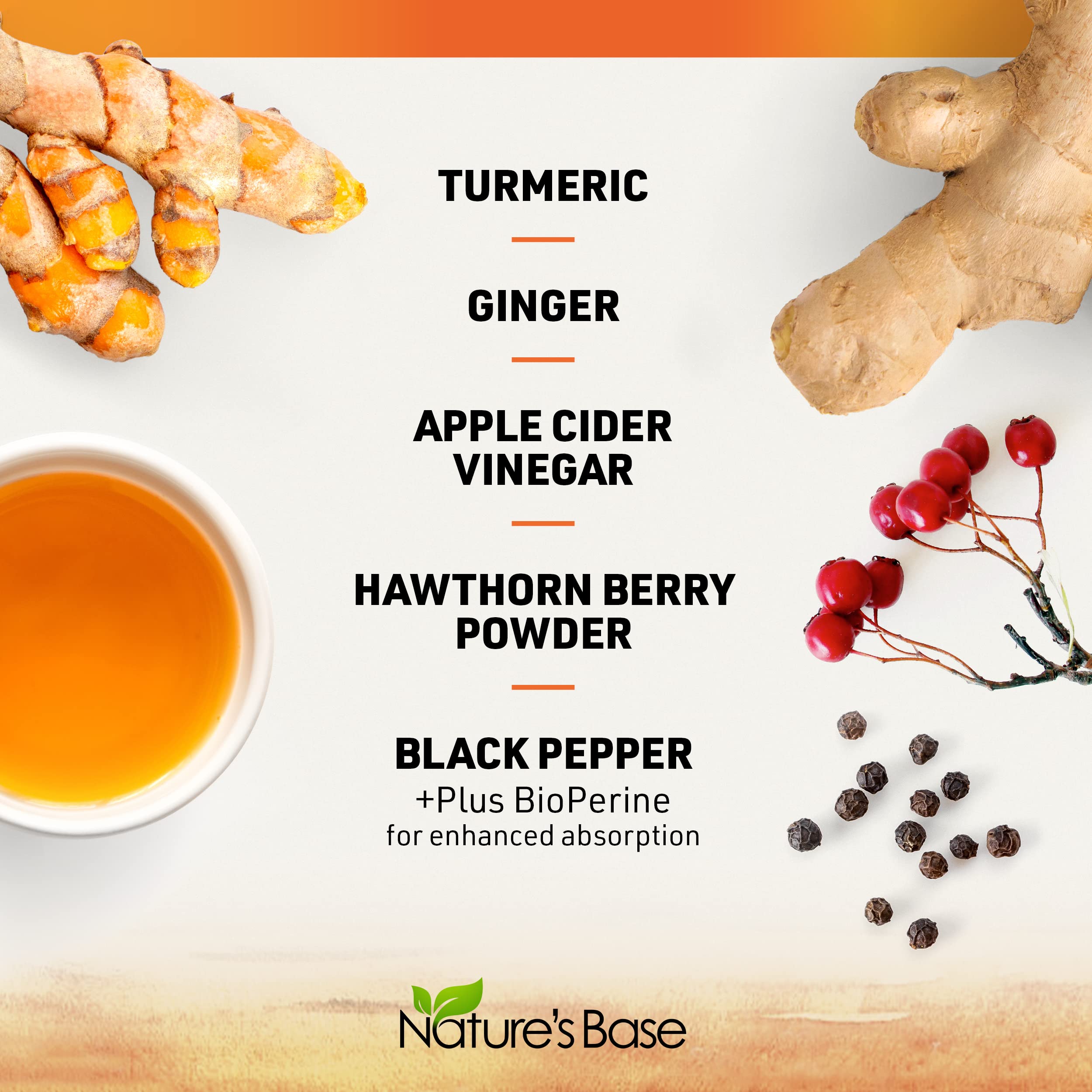 Nature's Base Turmeric & Ginger Supplement ingredients list