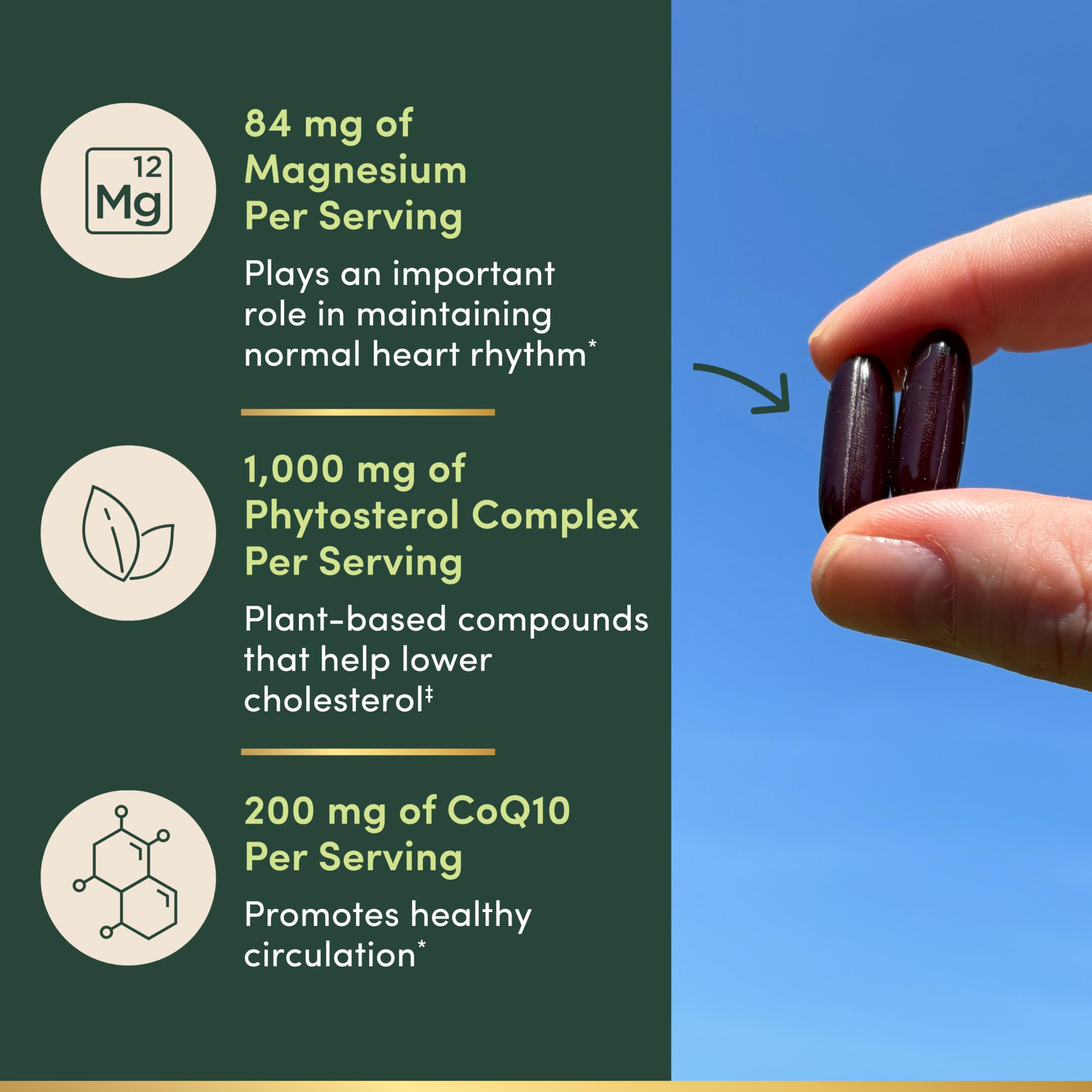 Nature's Bounty Advanced Vital Heart CoQ10 + Magnesium 200mg softgel on a wooden table