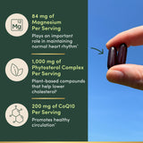 Nature's Bounty Advanced Vital Heart CoQ10 + Magnesium 200mg softgel on a wooden table