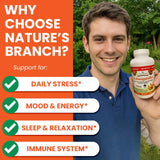 NATURE'S BRANCH Ashwagandha 1965mg vegan capsules packaging