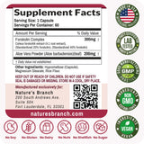 NATURE'S BRANCH Forskolin 500mg vegan capsules close-up