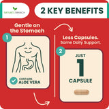 NATURE'S BRANCH Forskolin 500mg vegan capsules on a wooden table