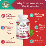 NATURE'S BRANCH Forskolin 500mg vegan capsules with aloe vera plant