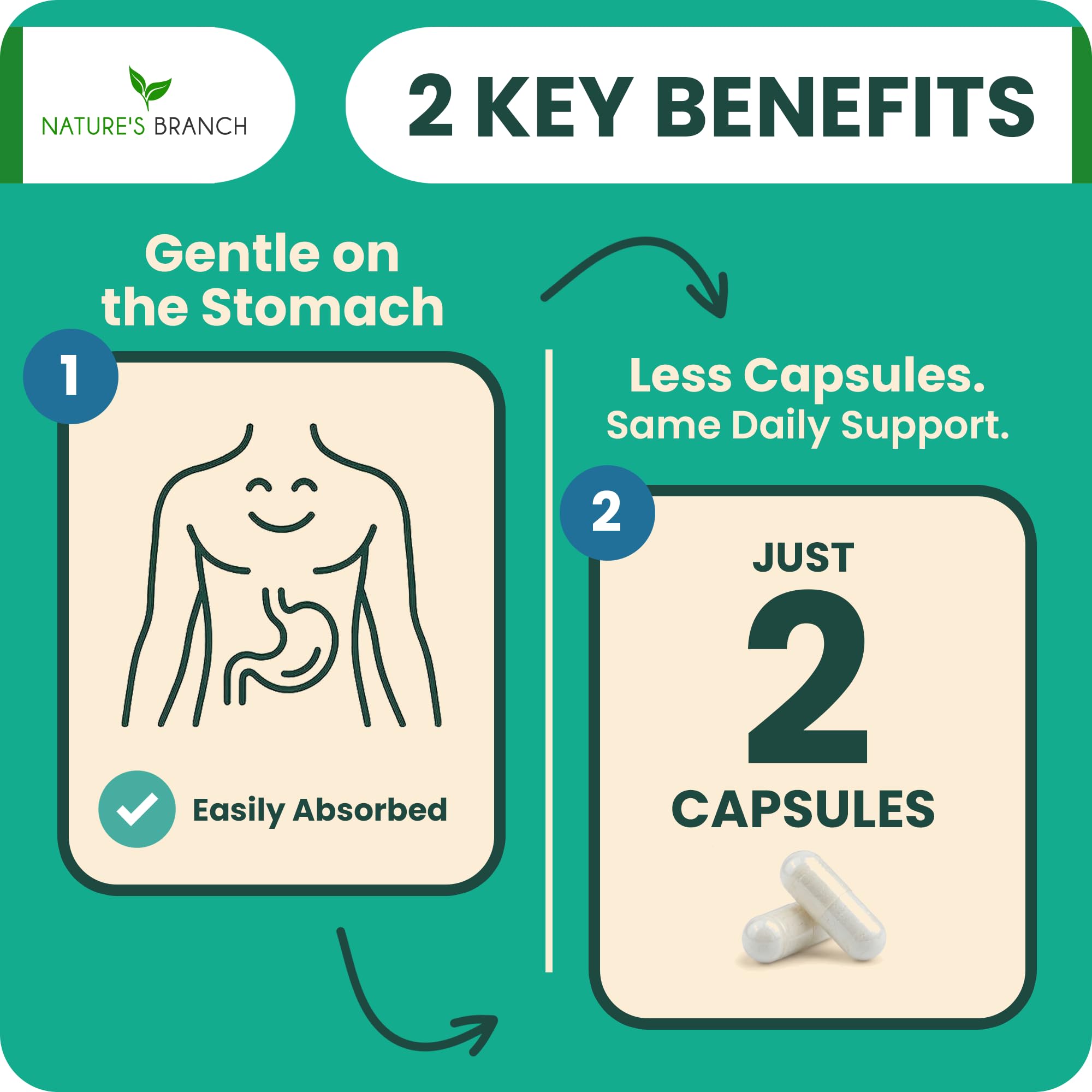 NATURE'S BRANCH Magnesium Taurate 400mg capsules with measuring spoon