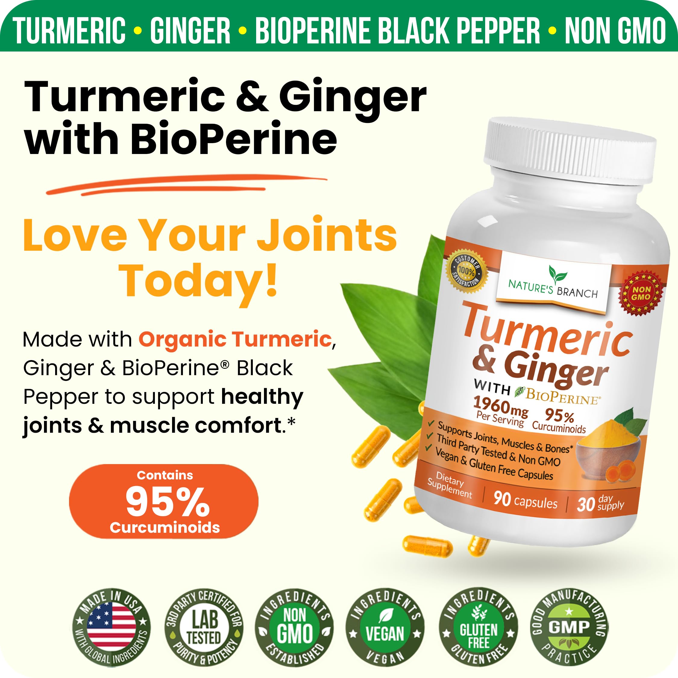 NATURE'S BRANCH Turmeric and Ginger Supplement close-up of capsules