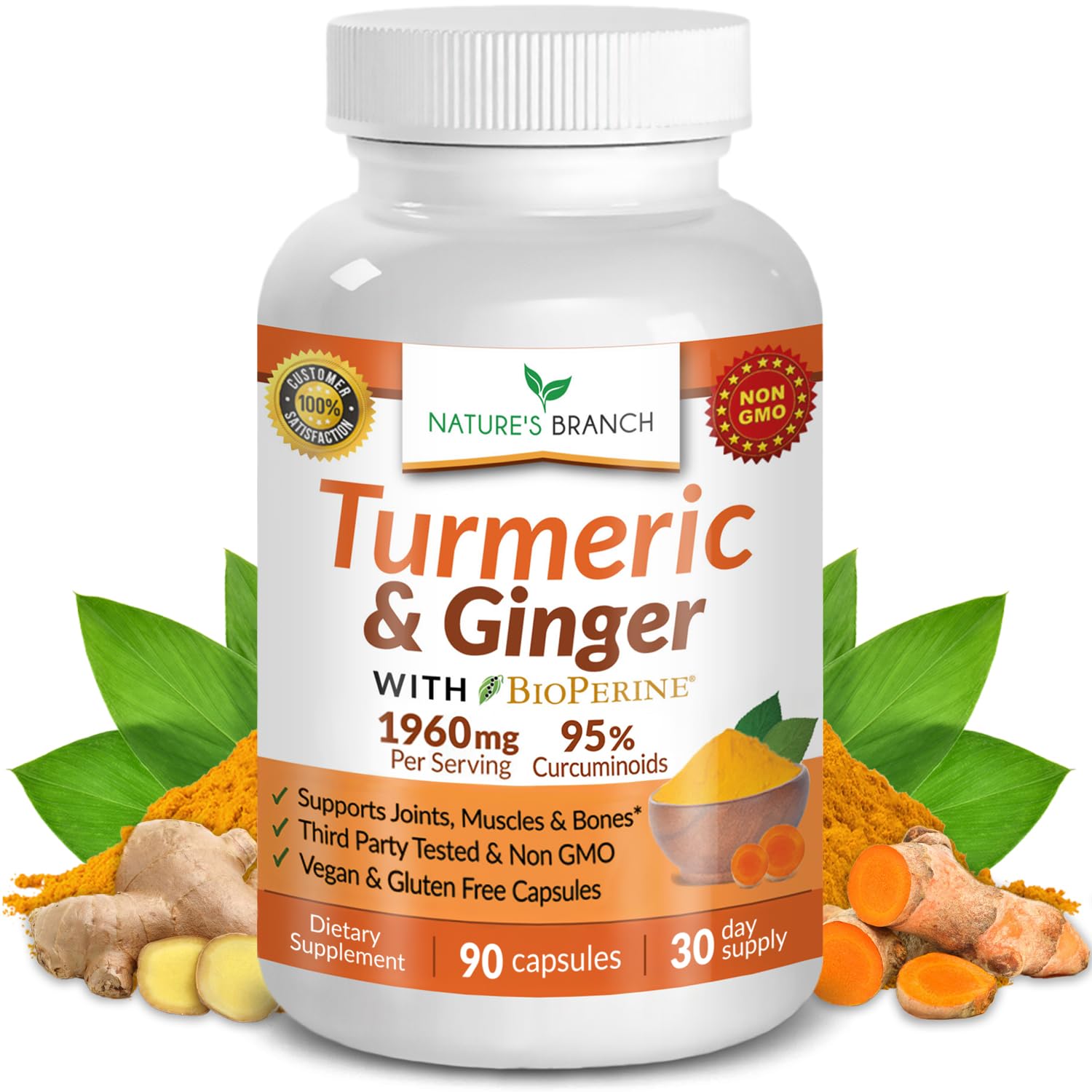 NATURE'S BRANCH Turmeric and Ginger Supplement front view with packaging