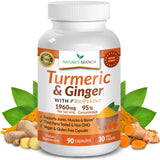 NATURE'S BRANCH Turmeric and Ginger Supplement front view with packaging