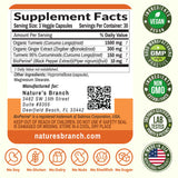 NATURE'S BRANCH Turmeric and Ginger Supplement packaging details