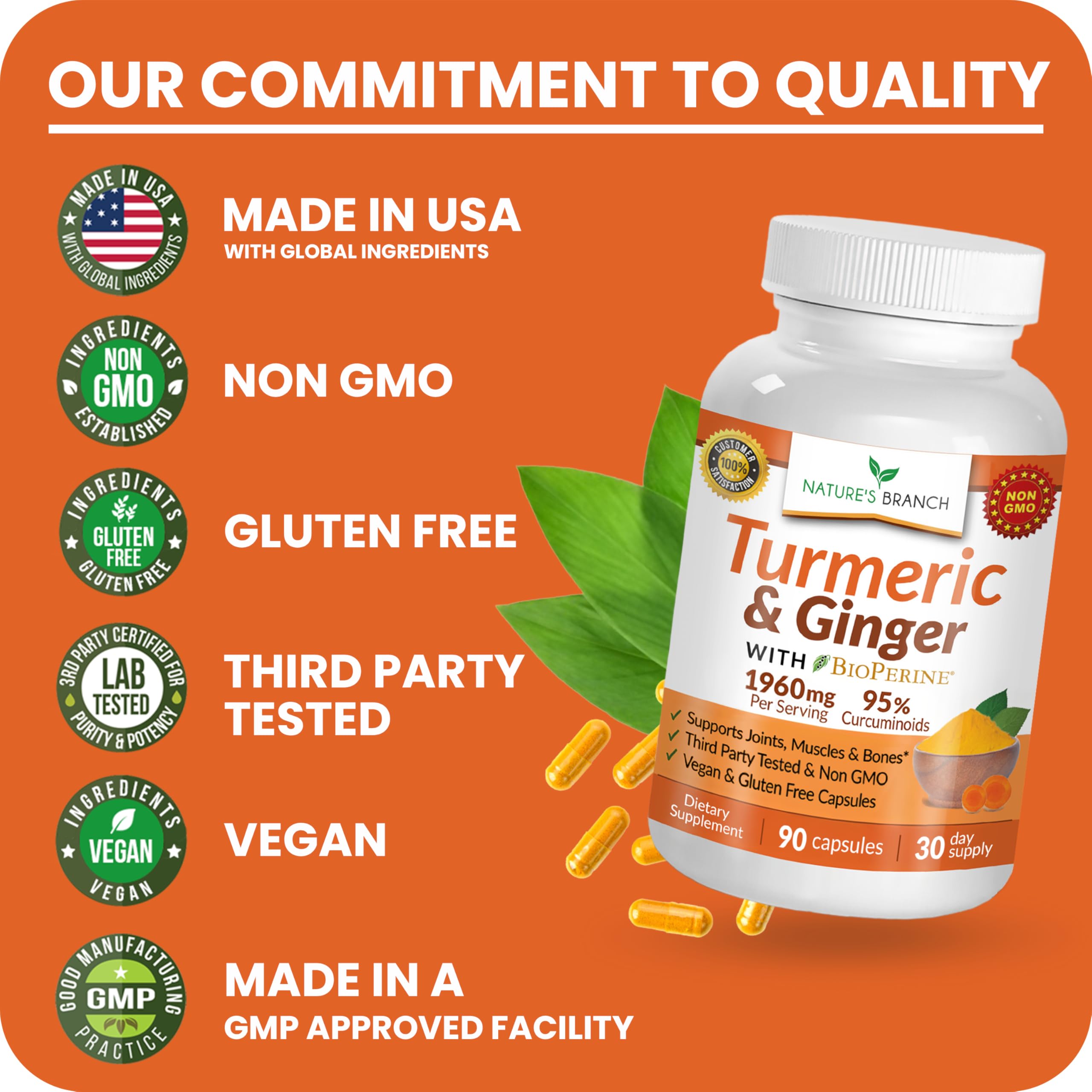 NATURE'S BRANCH Turmeric and Ginger Supplement with measuring spoon