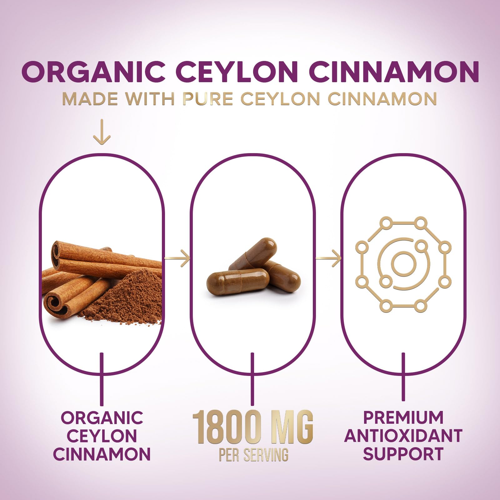 Nature's Choice Ceylon Cinnamon Capsules 1800mg bottle with label