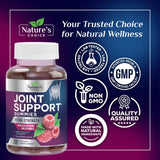 Nature's Choice Joint Support Gummies back view with ingredients