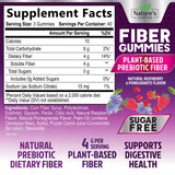 Nature's Choice Sugar-Free Fiber Gummies close-up of gummies