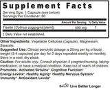 Nature's Fusions Fisetin 500mg supplement capsules close-up