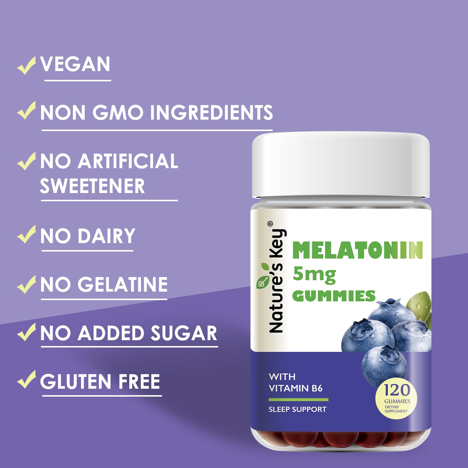 Nature's Key Melatonin Gummies 120 Count bottle