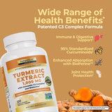 Nature's Lab Turmeric Curcumin C3 Complex 1000mg supplement back view