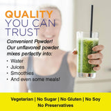 Nature's Life L-Lysine Powder 254g mixed in a smoothie