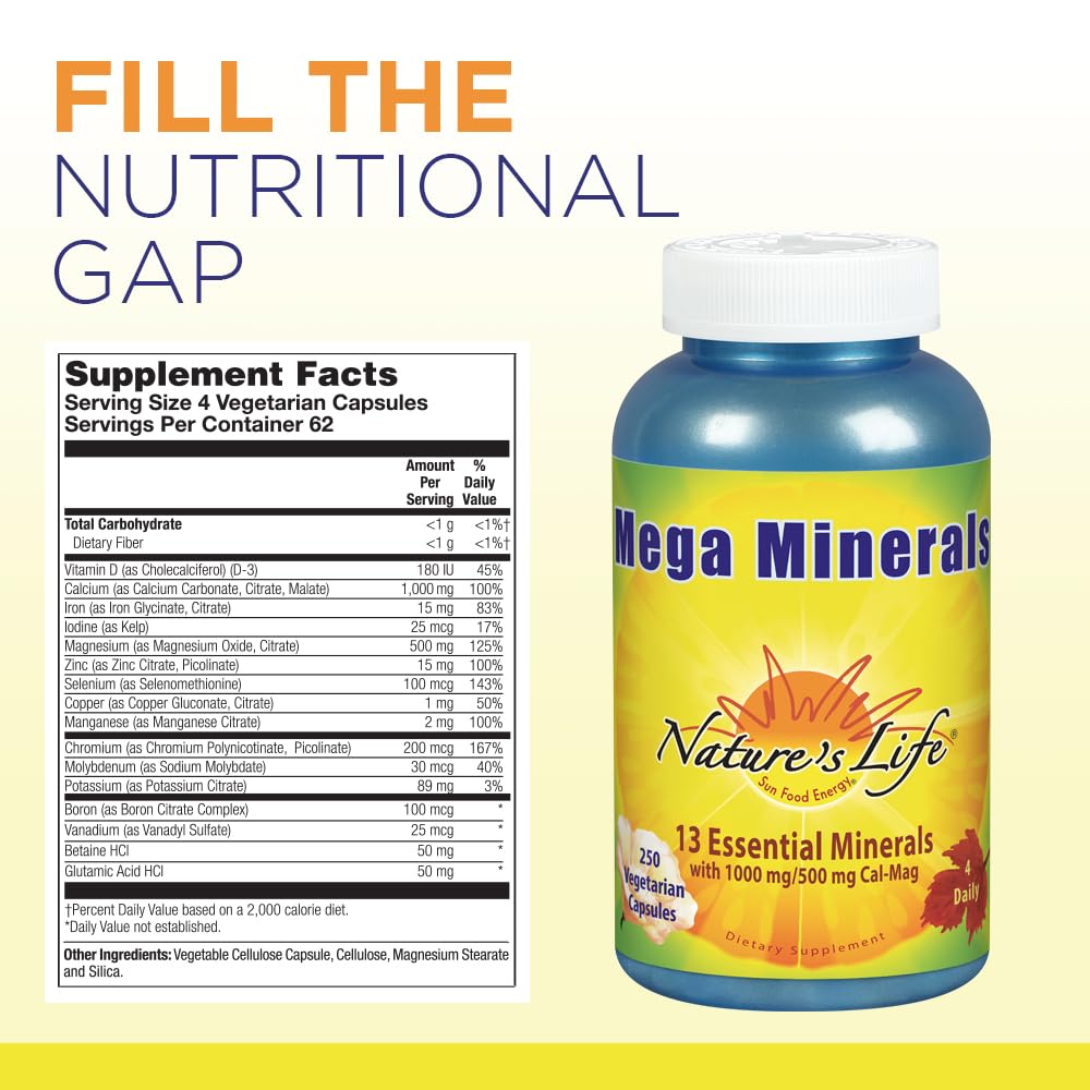 Nature's Life Mega Mineral Supplement 381g back view with ingredients