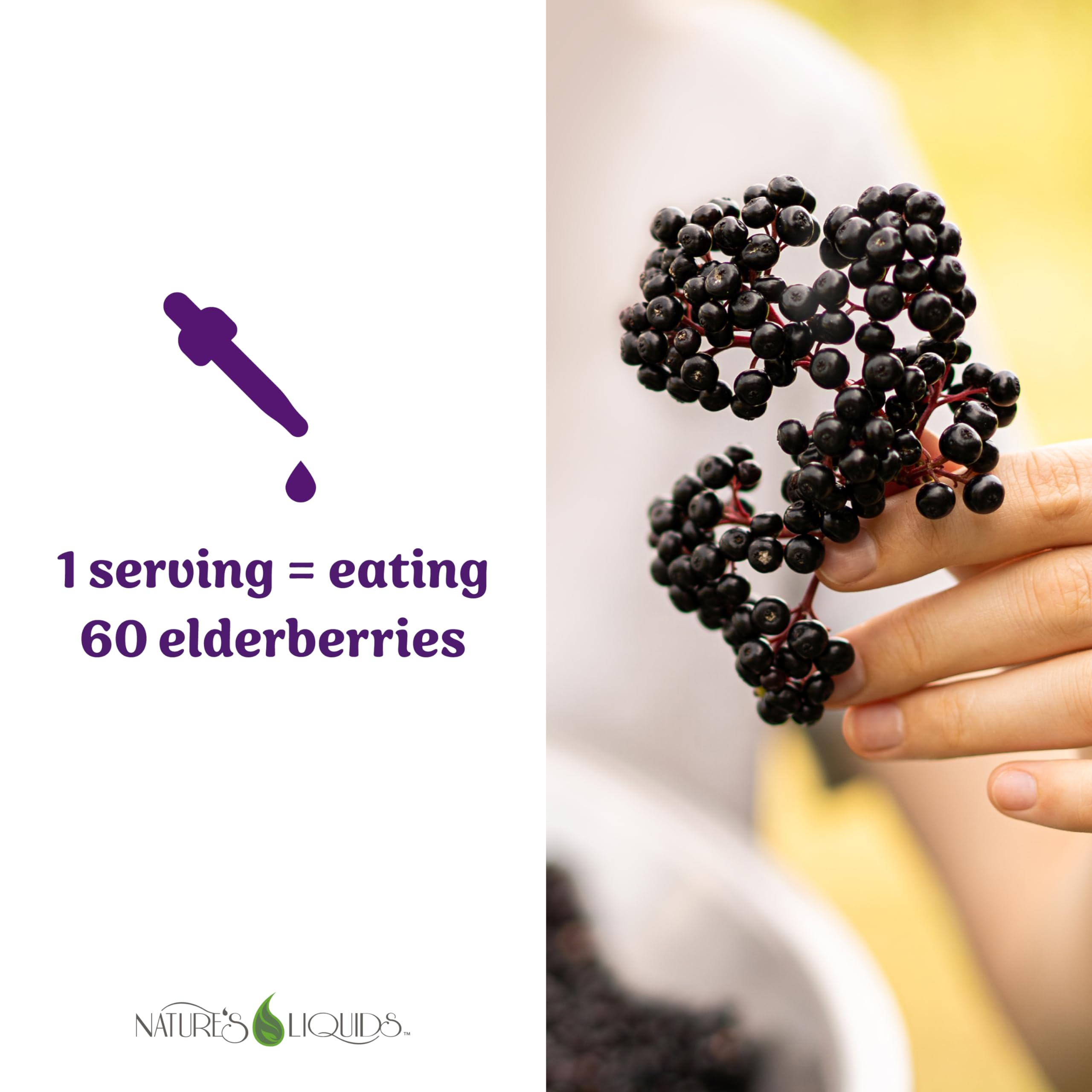 Nature's Liquids Elderberry Drops bottle side view