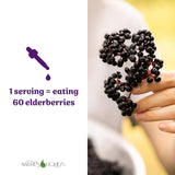 Nature's Liquids Elderberry Drops bottle side view