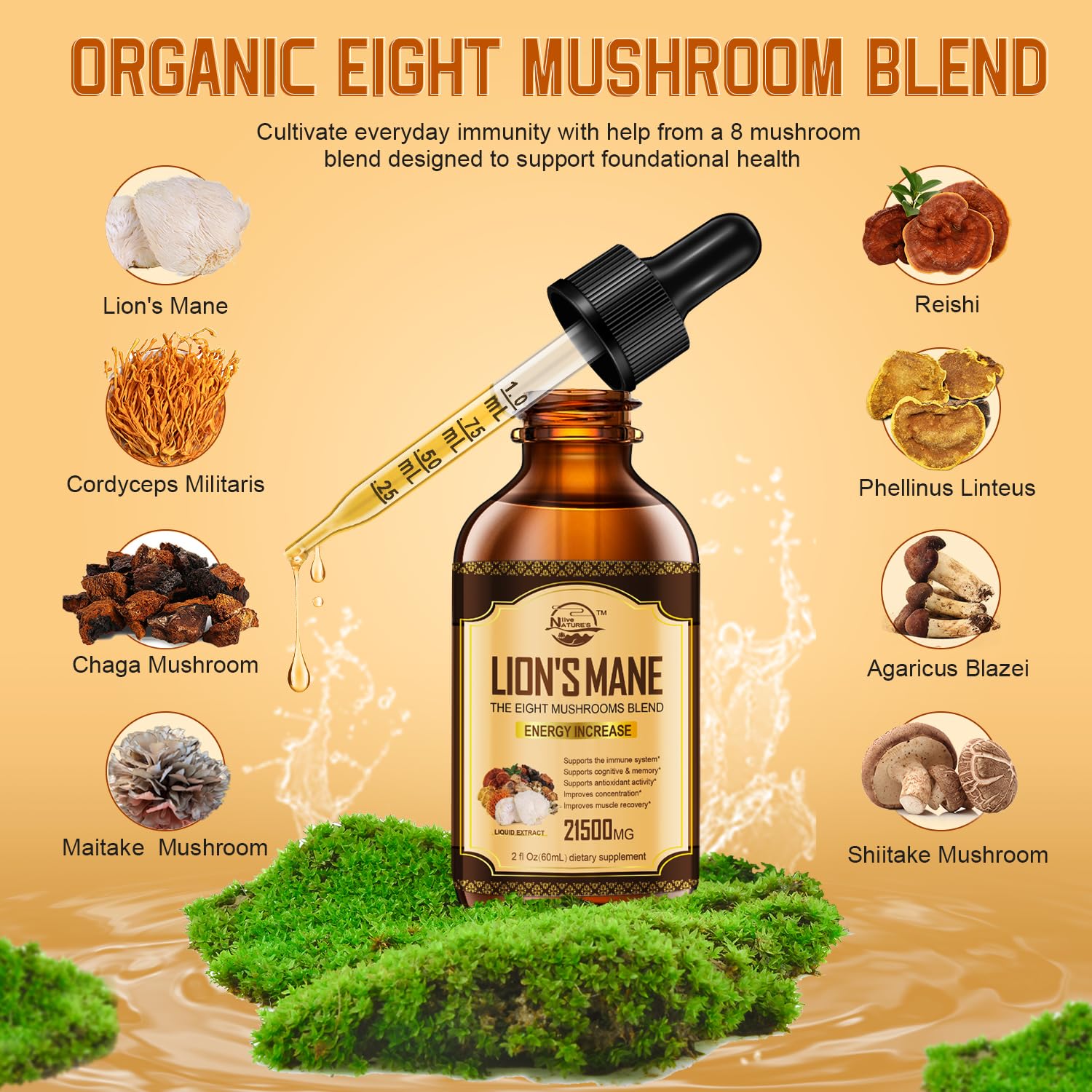 Nature's live Mushroom Tincture 60ml back view with ingredient list