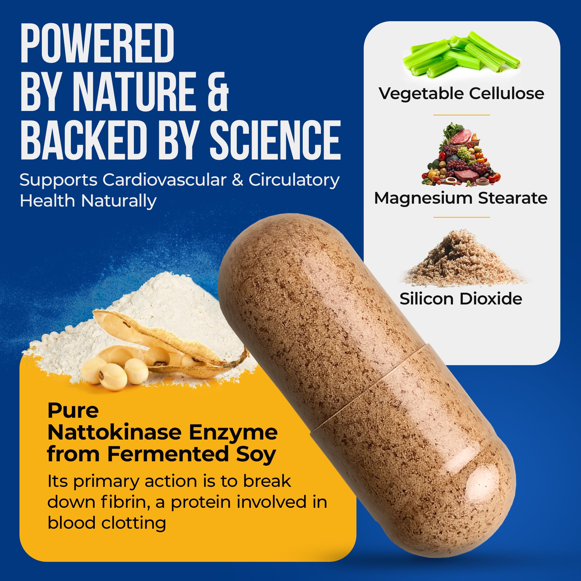 Nature's Nectar Nattokinase Supplement 250mg capsule close-up