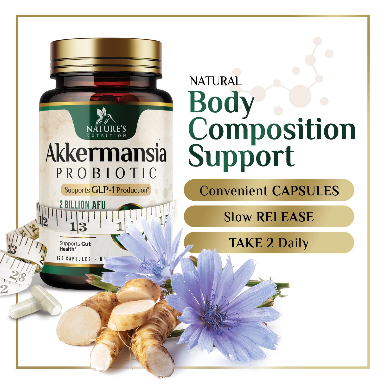 Nature's Nutrition Akkermansia Probiotic Supplement ingredients list