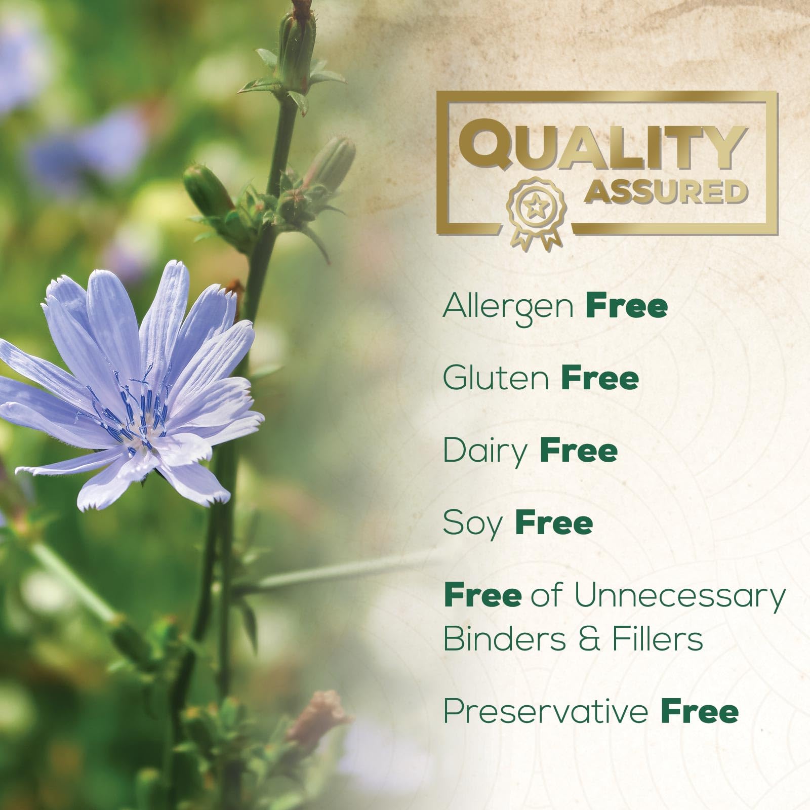 Nature's Nutrition Akkermansia Probiotic Supplement on a wooden table