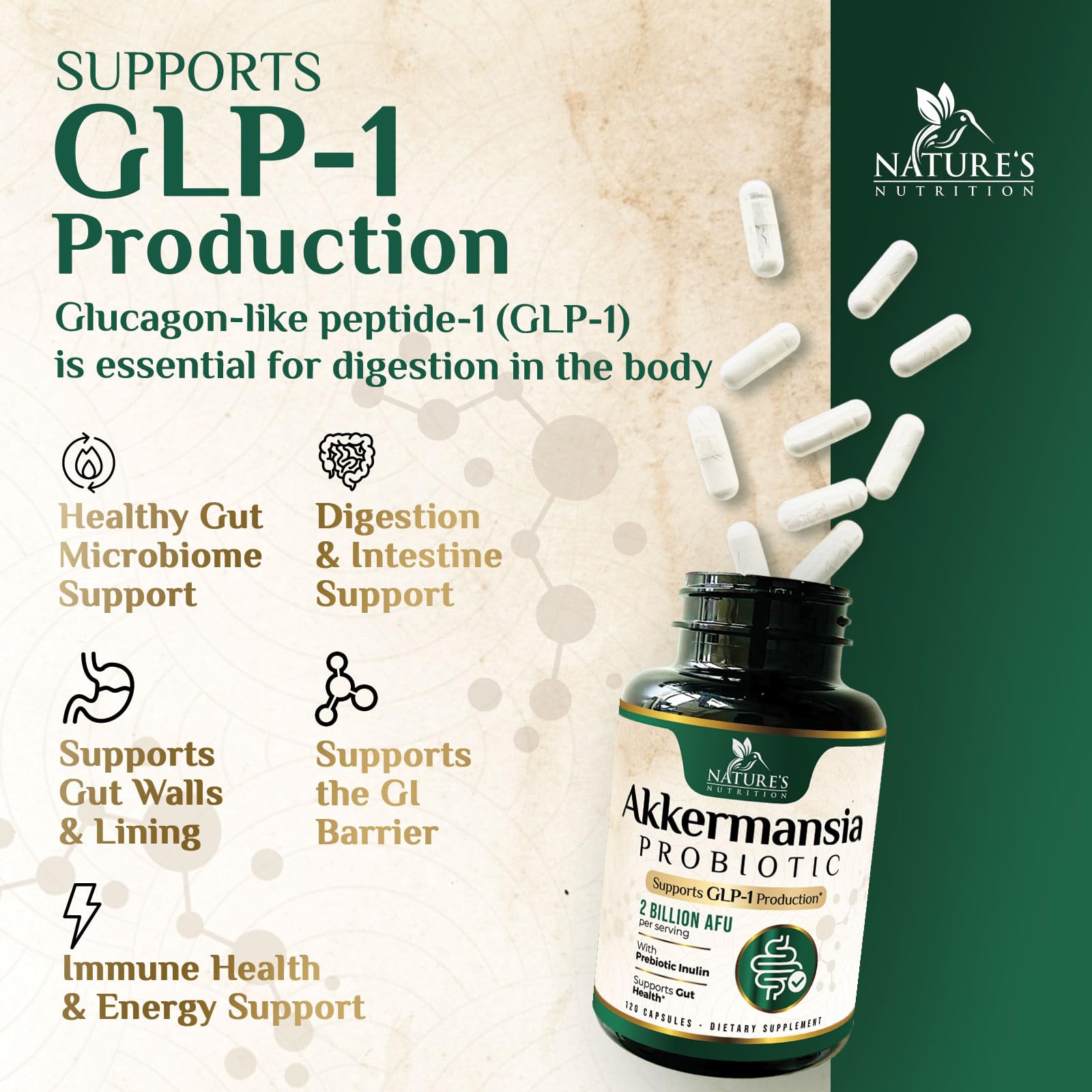 Nature's Nutrition Akkermansia Probiotic Supplement with inulin