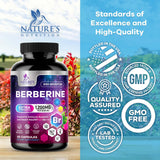 Nature's Nutrition Berberine HCl Blend 1200mg Capsules back view