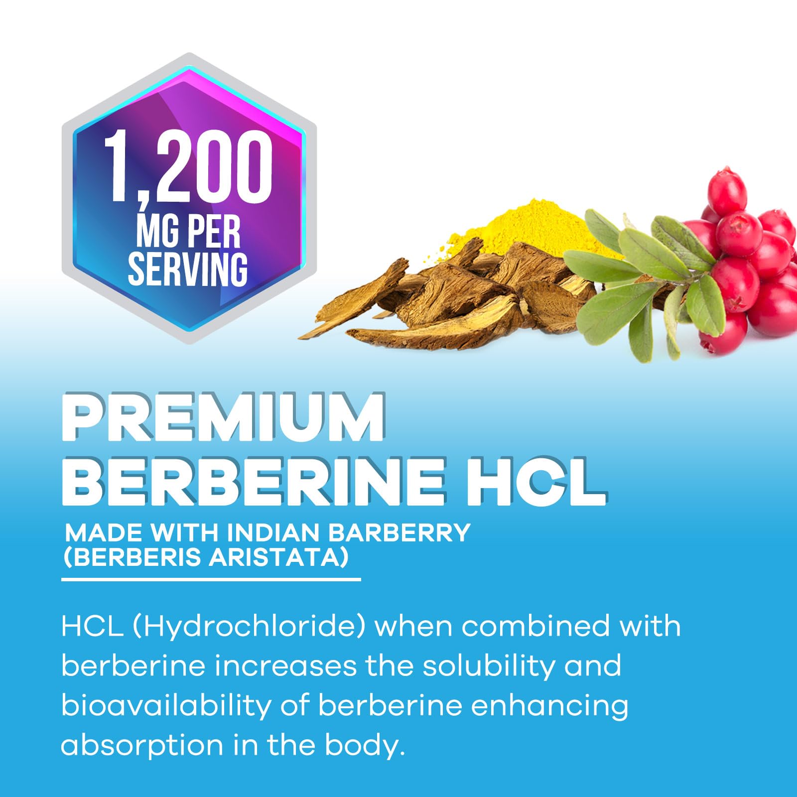 Nature's Nutrition Berberine HCl Blend 1200mg Capsules close-up