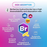 Nature's Nutrition Berberine HCl Blend 1200mg Capsules with ingredients