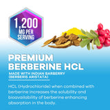 Nature's Nutrition Berberine HCL Supplement 1200mg capsules in hand