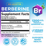 Nature's Nutrition Berberine HCL Supplement 1200mg side view