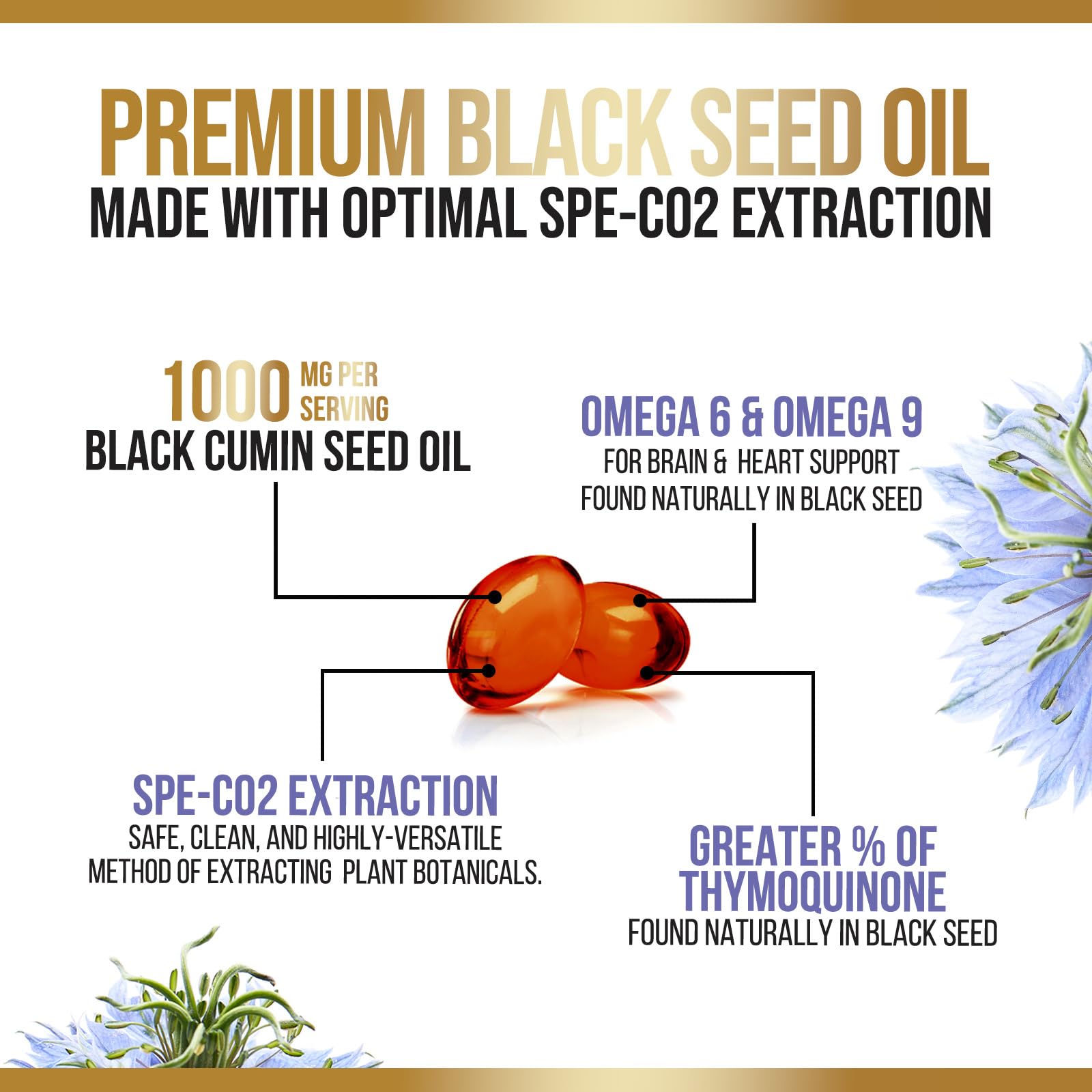 Nature's Nutrition Black Seed Oil Capsules 1000mg softgel in hand