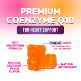 Nature's Nutrition CoQ10 Gummies 100mg back view with ingredients