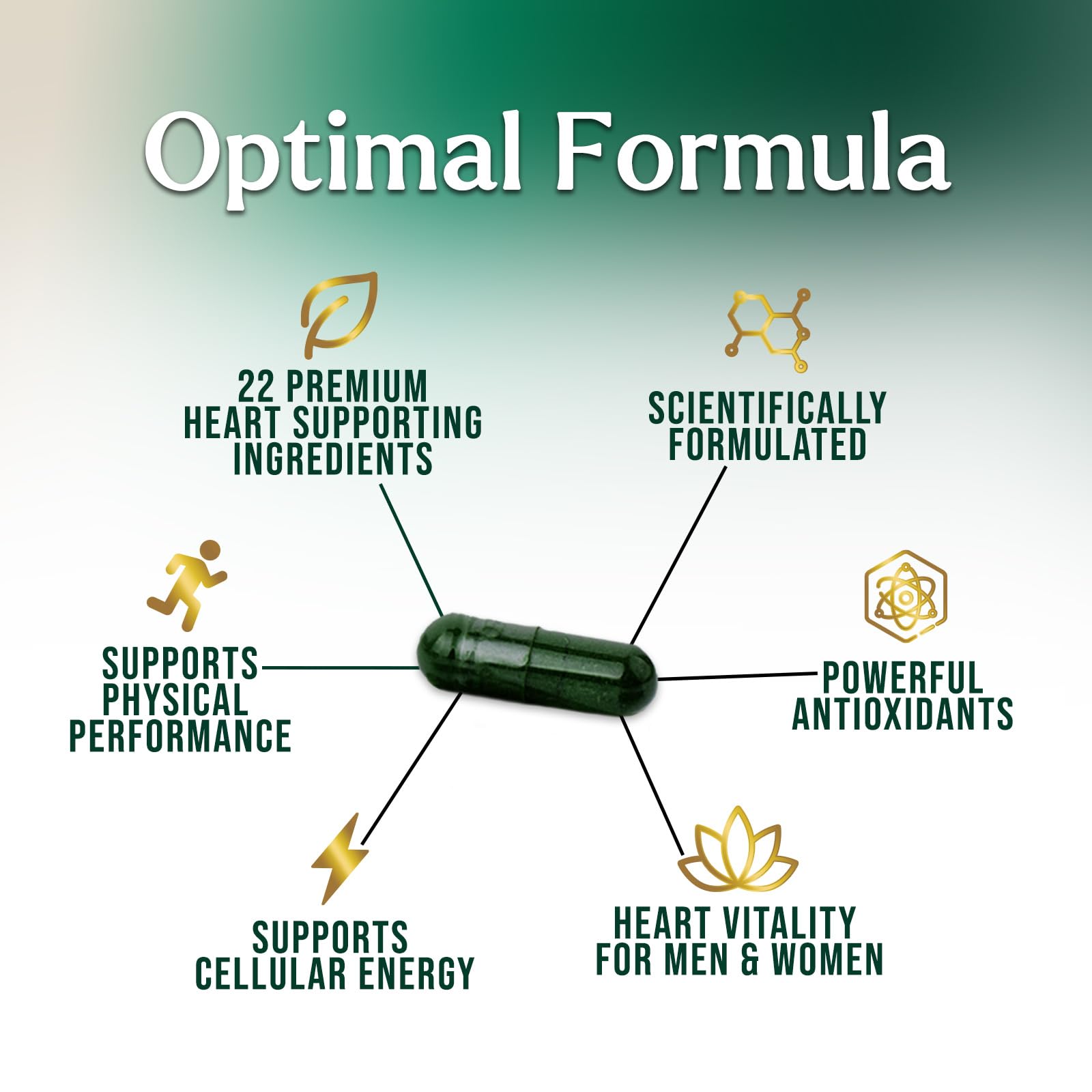 Nature's Nutrition CoQ10 Heart Support Supplement back view
