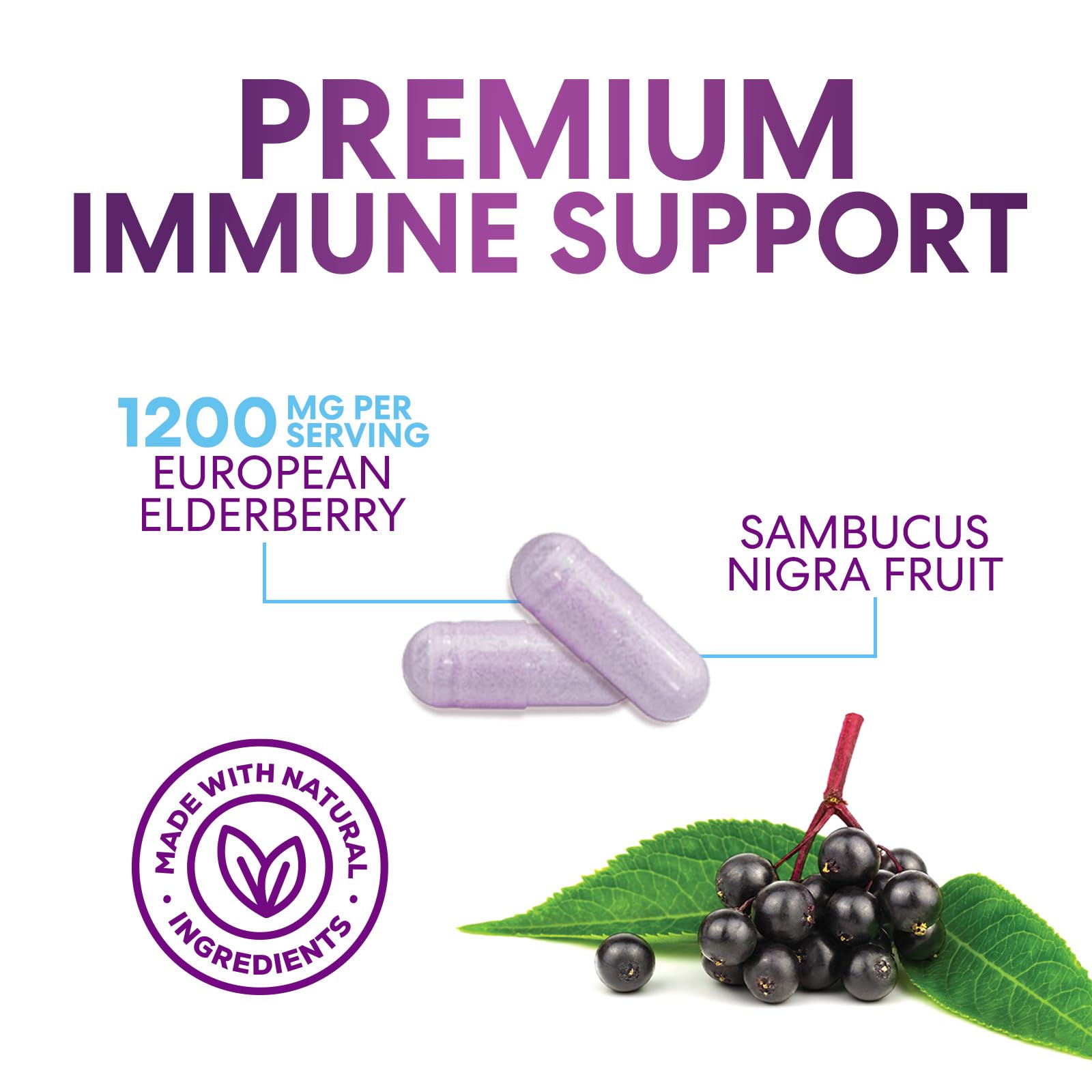 Nature's Nutrition Elderberry Capsules back view with ingredient list