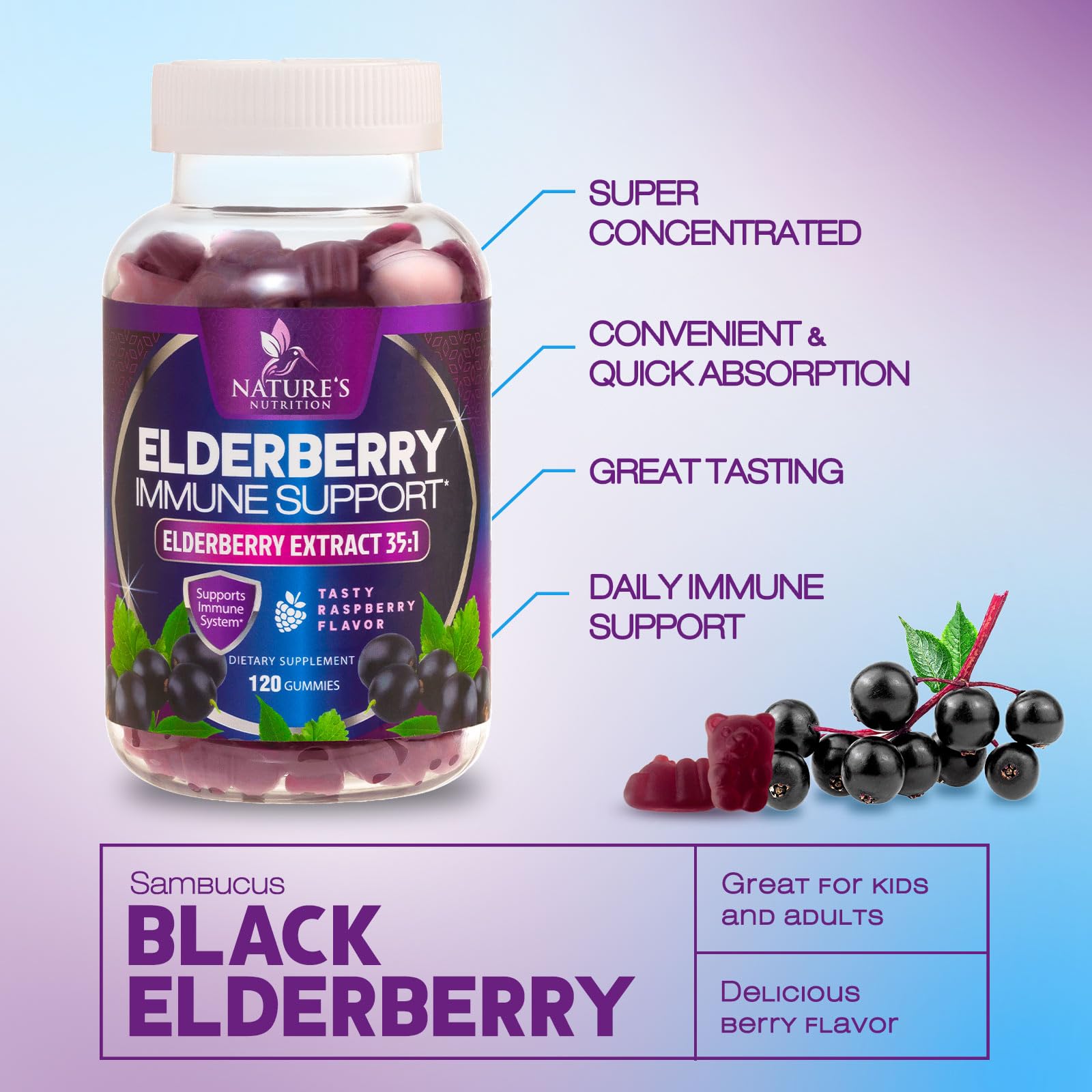 Nature's Nutrition Elderberry Gummies back view with ingredient list