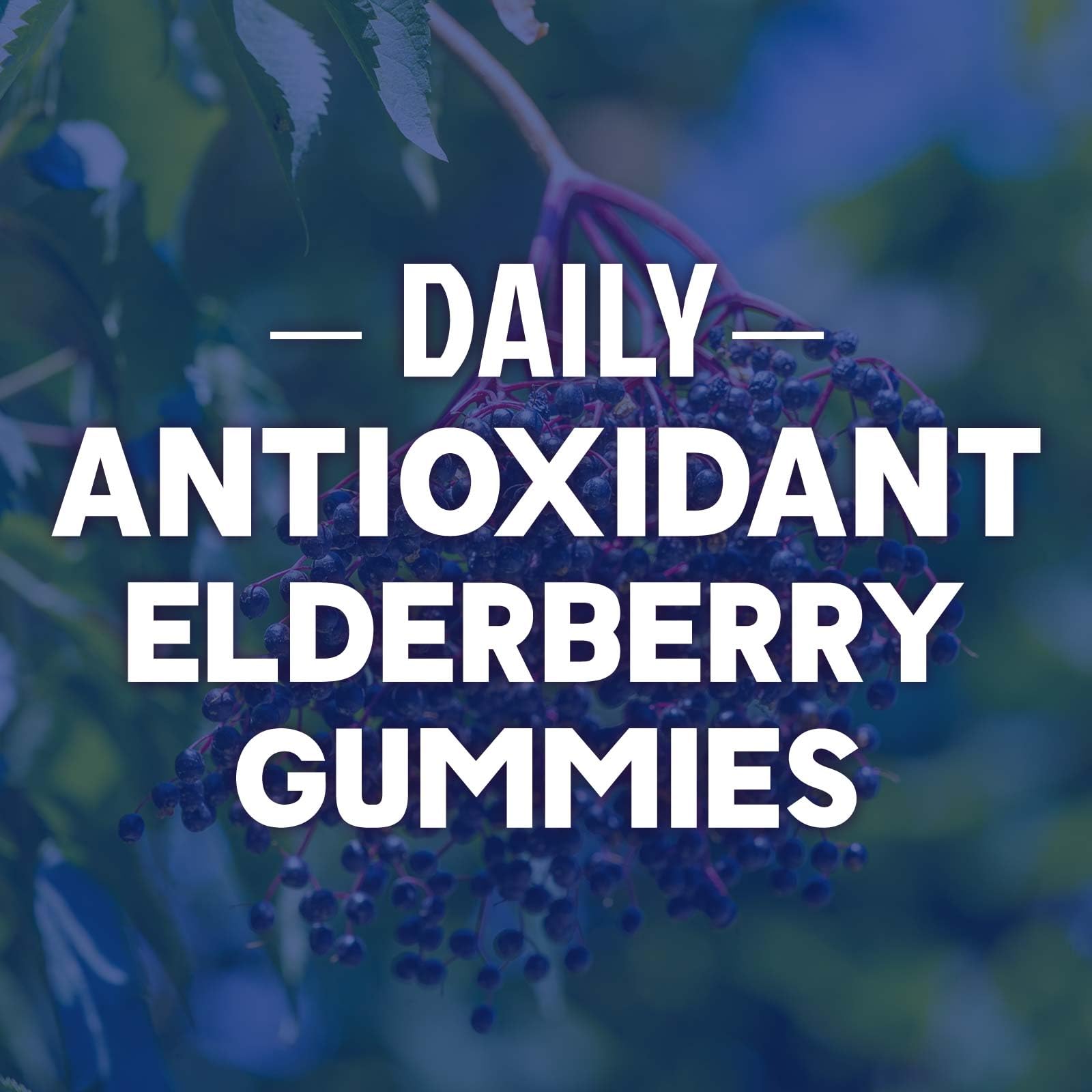 Nature's Nutrition Elderberry Gummies open packaging