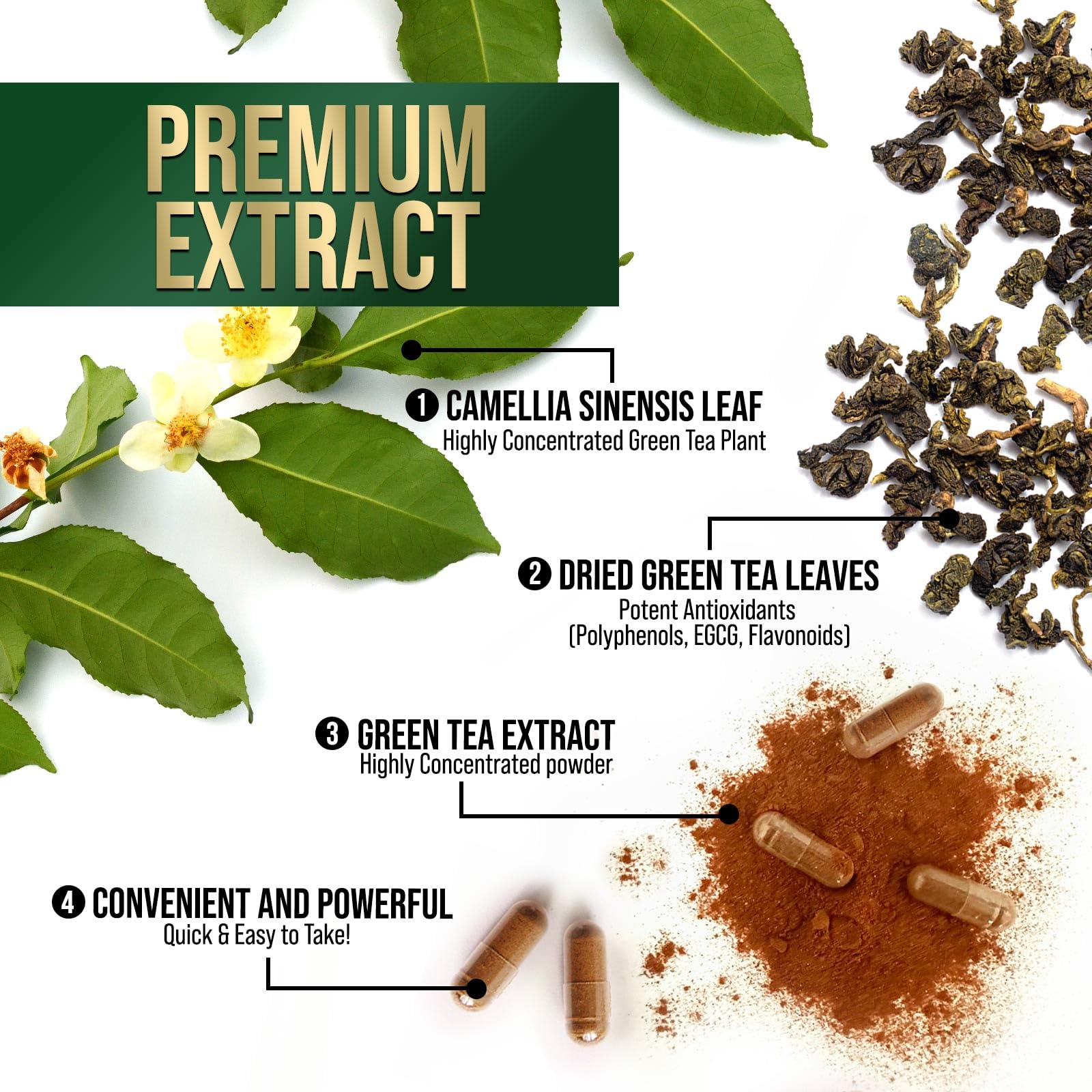 Nature's Nutrition Green Tea Extract 1000mg Capsules close-up