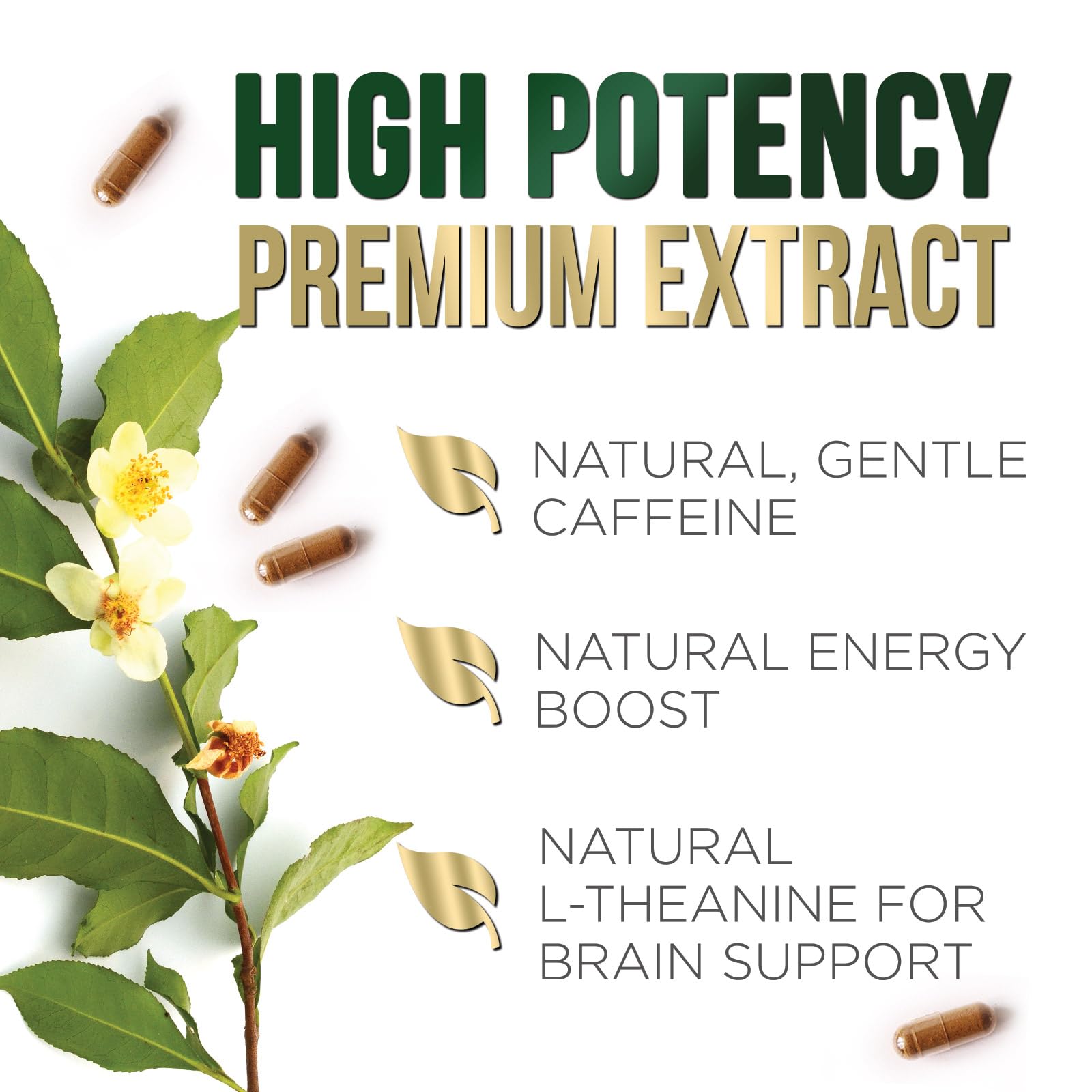 Nature's Nutrition Green Tea Extract with vegetable cellulose capsules