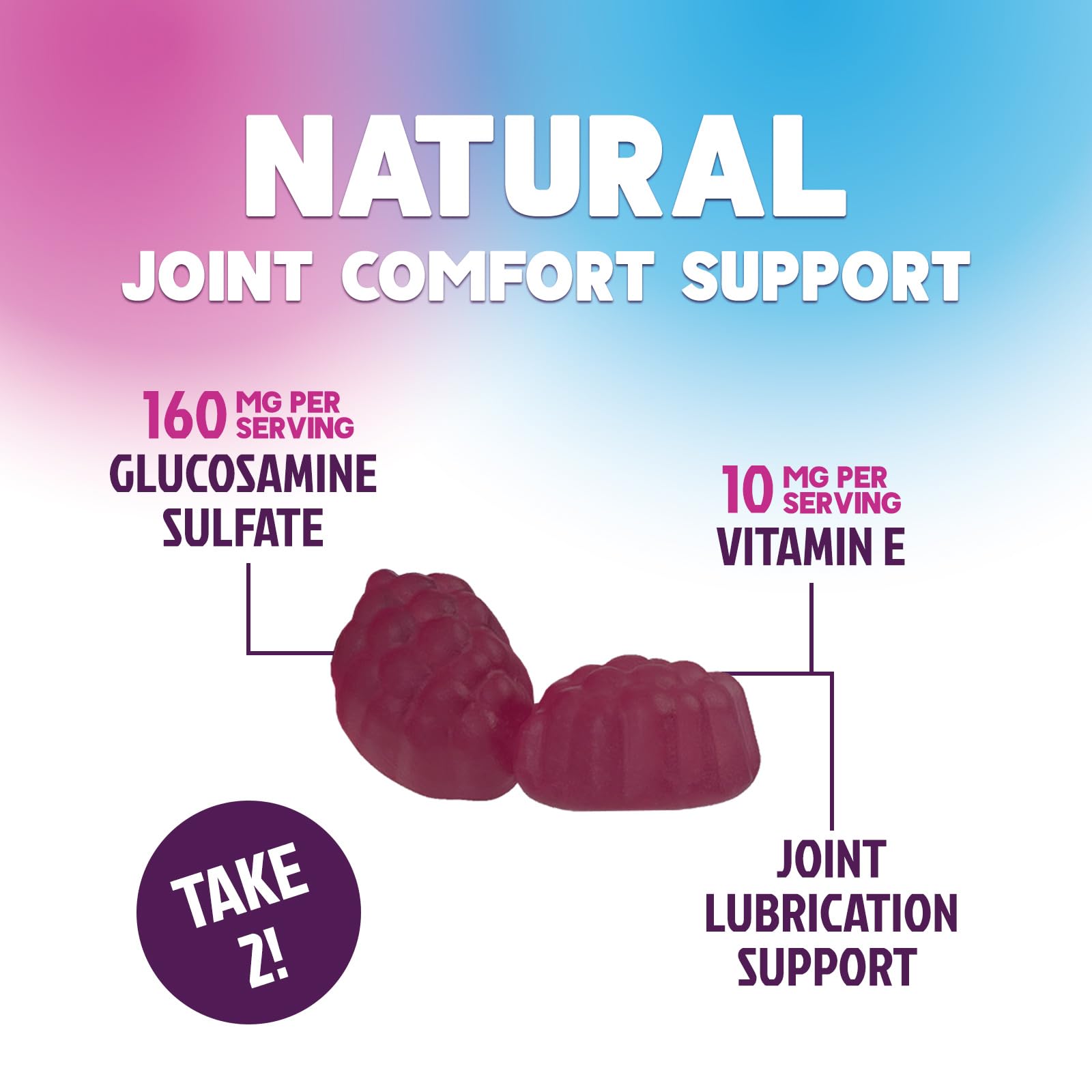 Nature's Nutrition Joint Support Gummies with a natural background