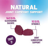 Nature's Nutrition Joint Support Gummies with a natural background