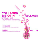 Nature's Nutrition Multi Collagen Gummies with a spoonful