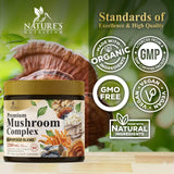 Nature's Nutrition Mushroom Complex Powder in a spoon with powder