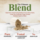 Nature's Nutrition Mushroom Complex Powder lifestyle scene with smoothie