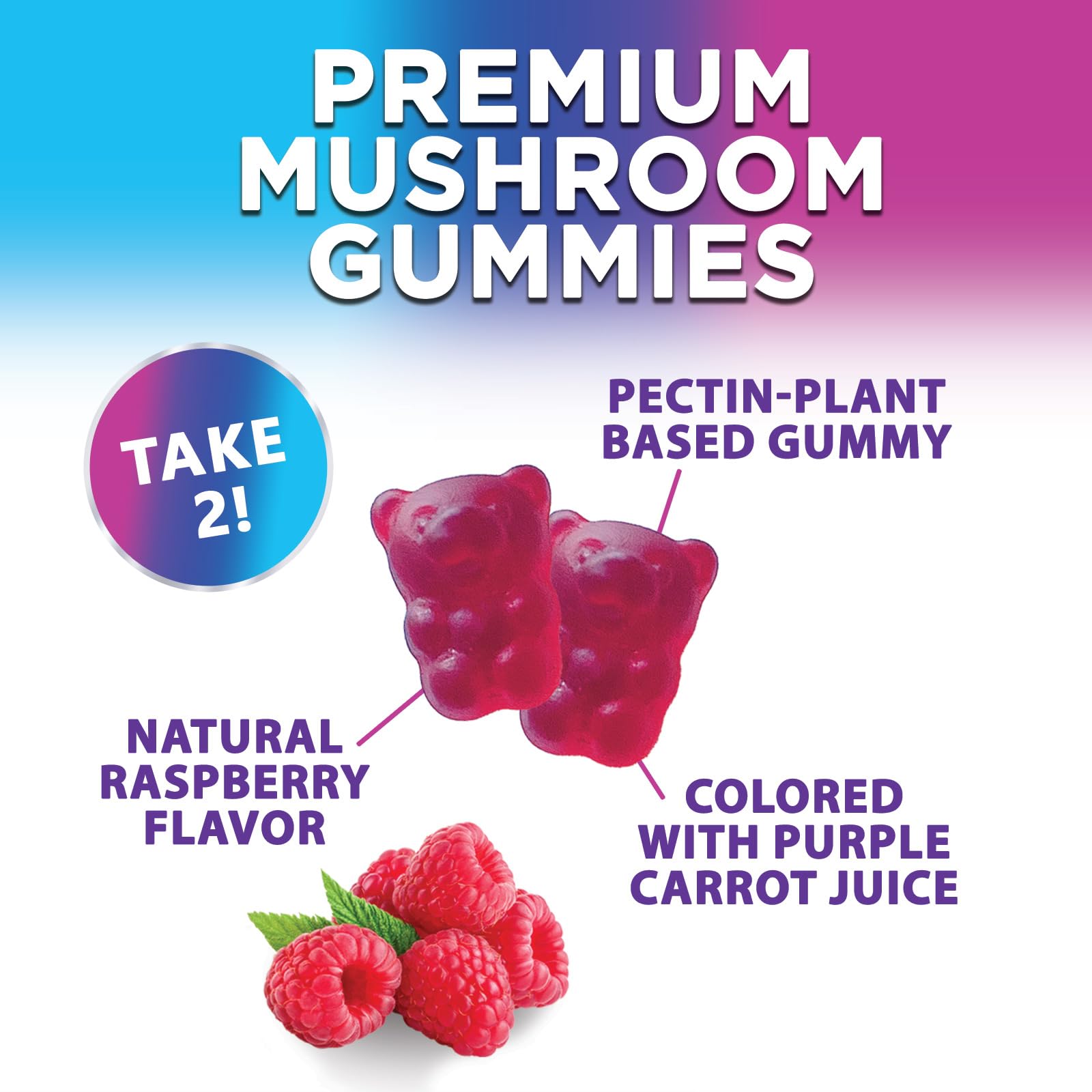 Nature's Nutrition Mushroom Gummies 12-in-1 blend side view