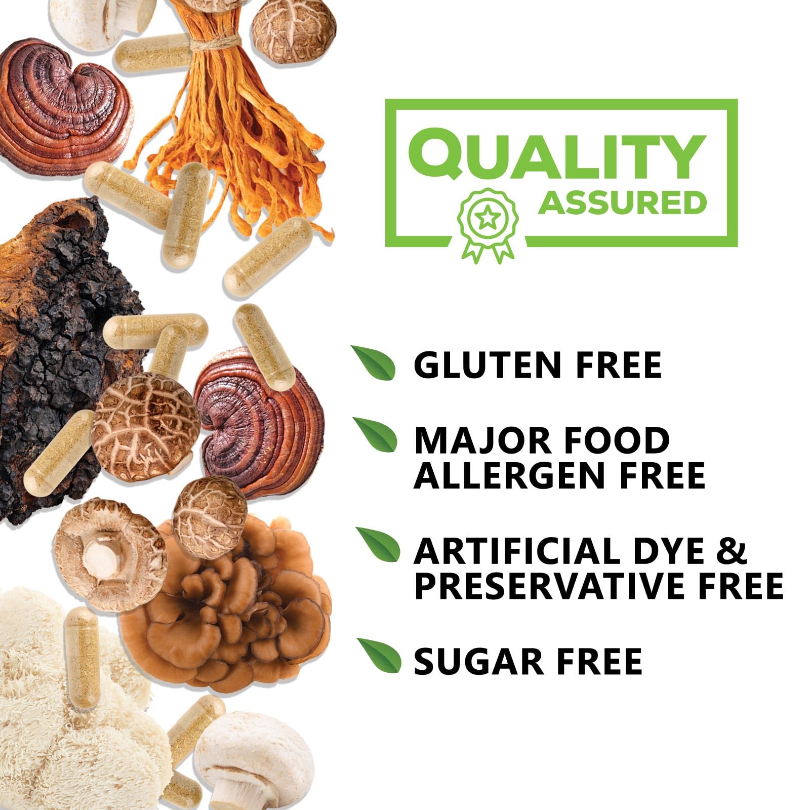 Nature's Nutrition Mushroom Supplement 10 in 1 Capsules with fresh mushrooms