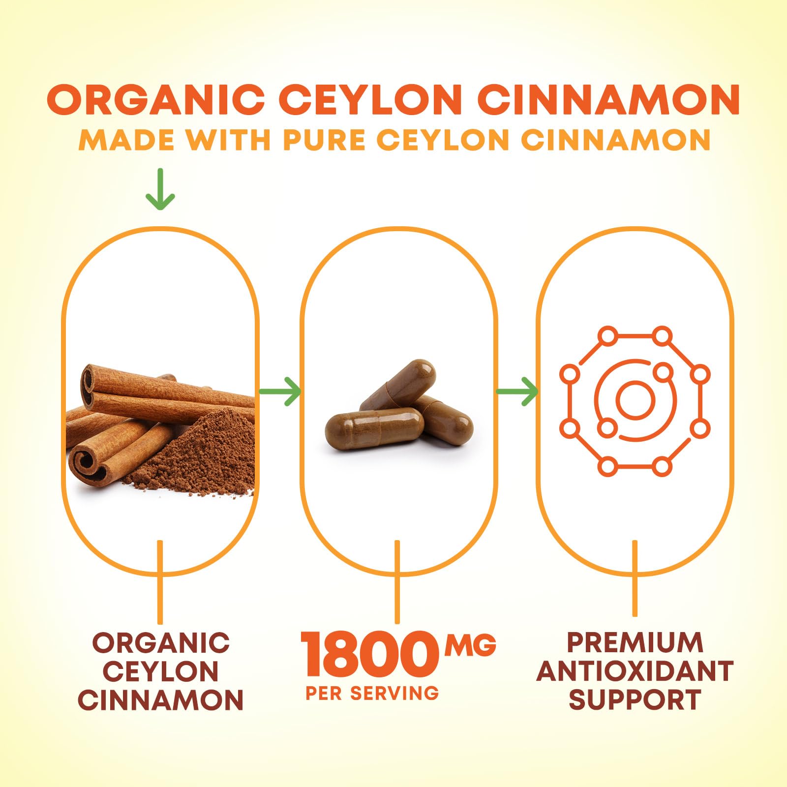 Nature's Nutrition Organic Ceylon Cinnamon Capsules bottle with label
