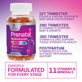 Nature's Nutrition Prenatal Gummies 363g on a wooden table